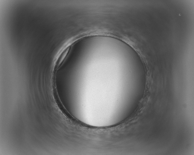 X0000062880007200601271634