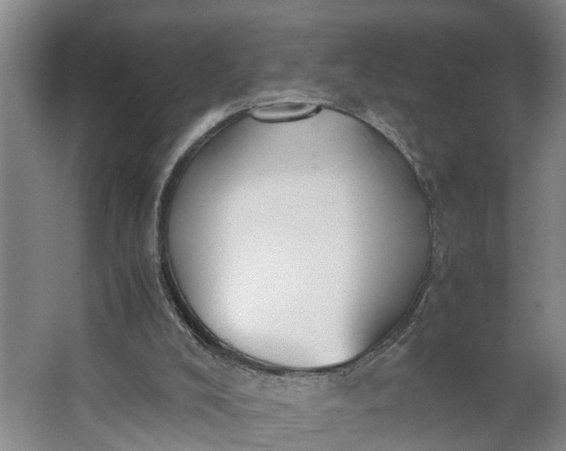 X0000062880008200601271634