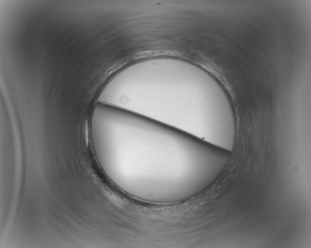 X0000062880013200601271633