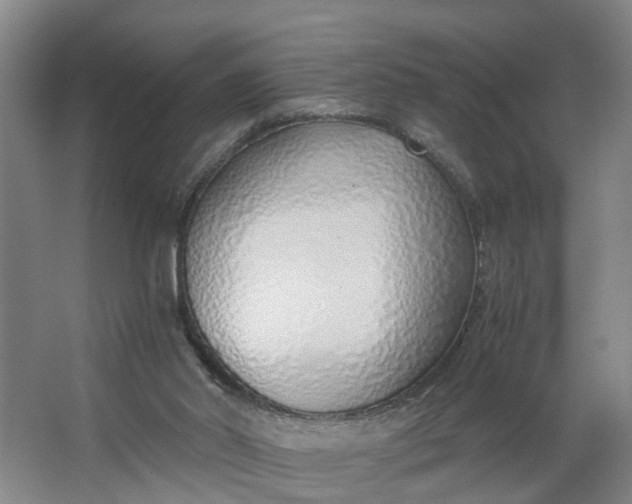 X0000062880014200601271633