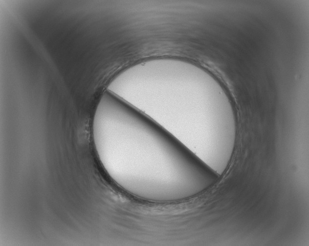 X0000062880017200601271633