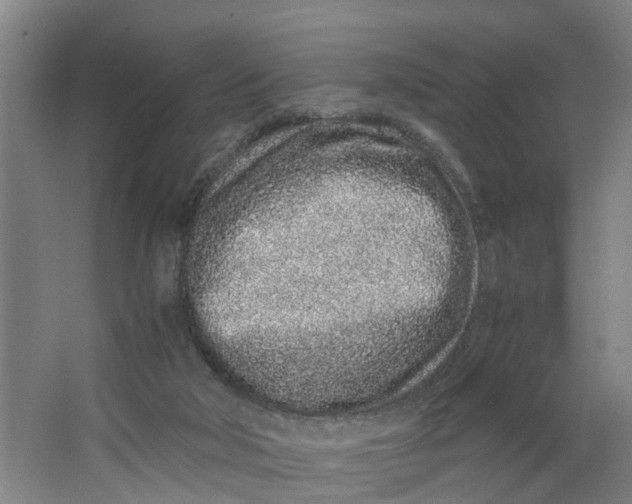 X0000062880018200601271633