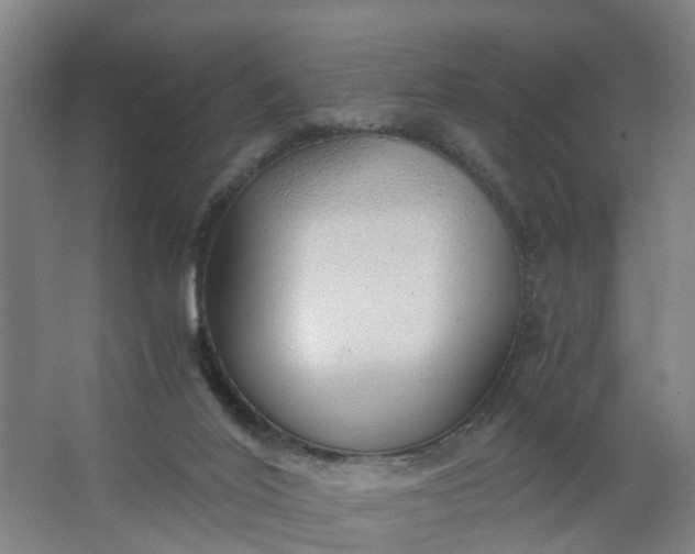 X0000062880020200601271633