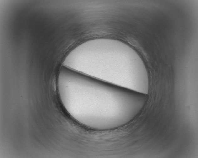 X0000062880021200601271633