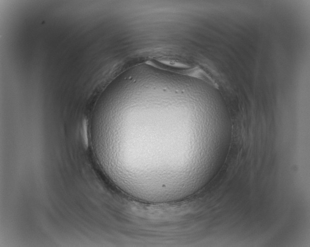 X0000062880022200601271633