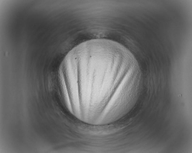 X0000062880030200601271633