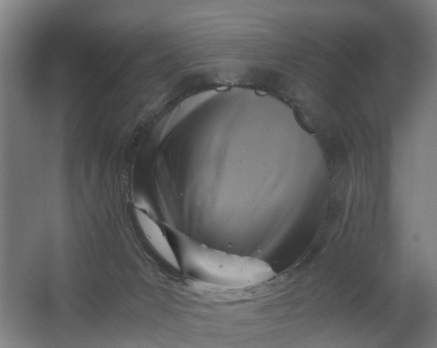 X0000062880031200601271633