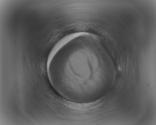 X0000062880035200601271633