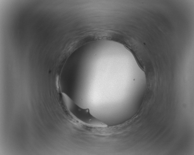 X0000062880041200601271633