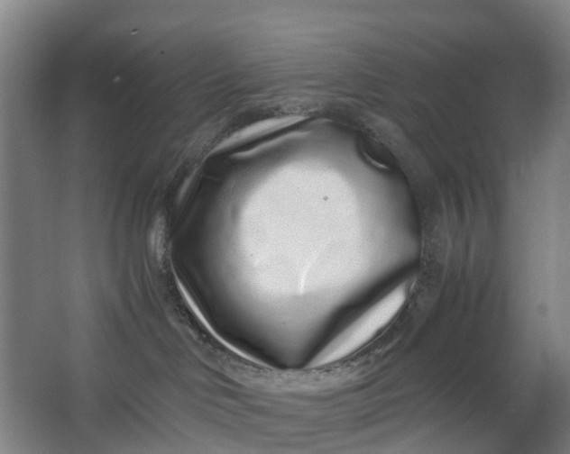 X0000062880046200601271633