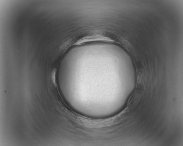 X0000062880047200601271633