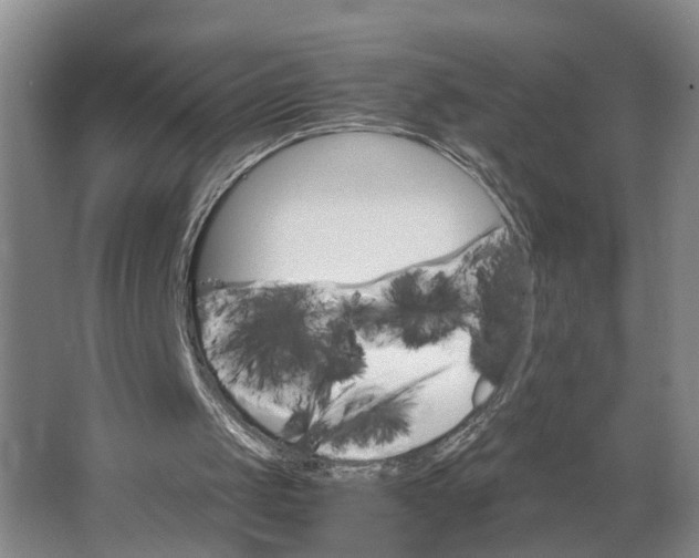 X0000062880049200601271632