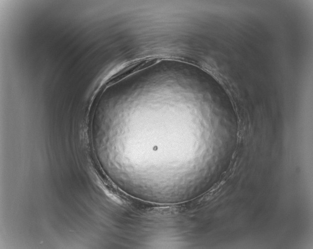 X0000062880050200601271632