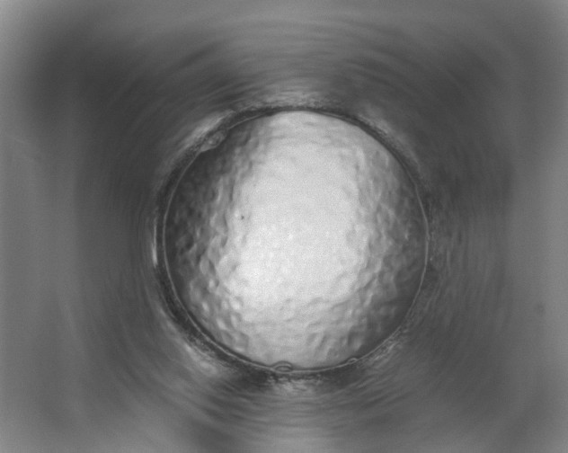 X0000062880062200601271632