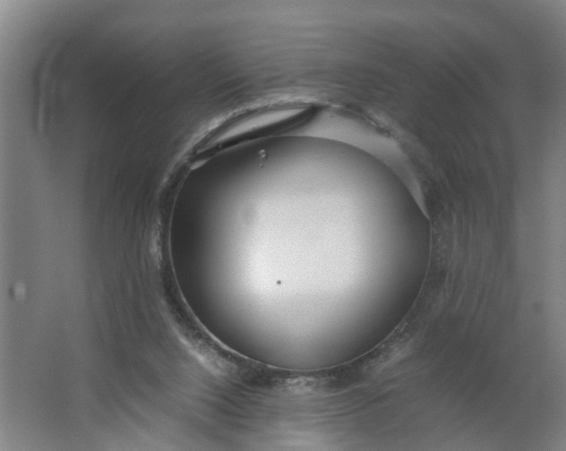 X0000062880064200601271632