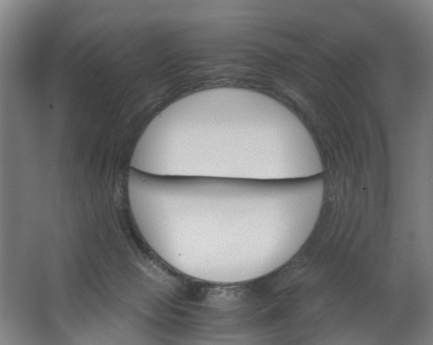 X0000062880077200601271633