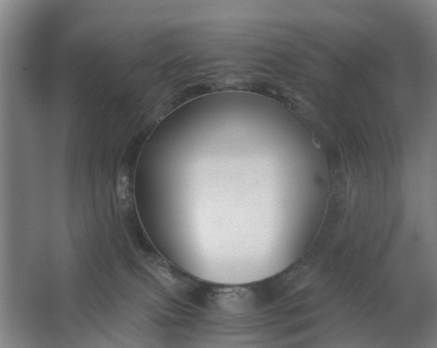 X0000062880087200601271633