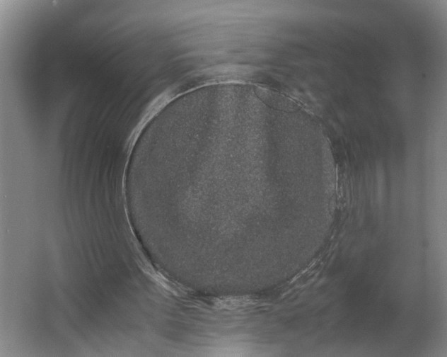 X0000062880099200601271632