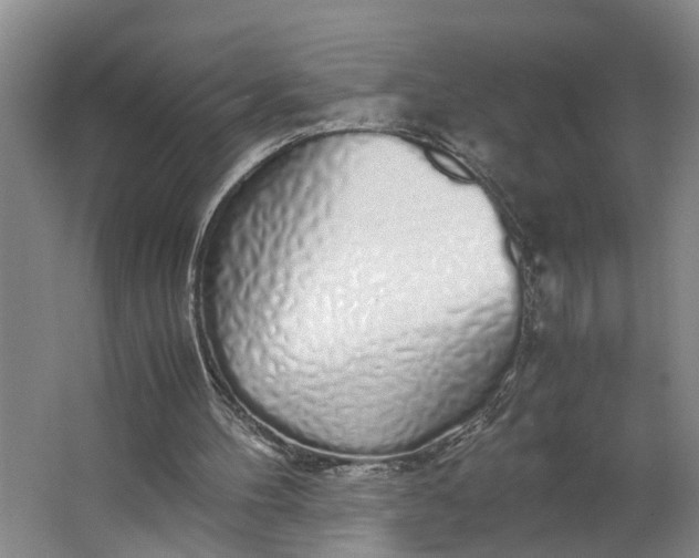 X0000062880100200601271632