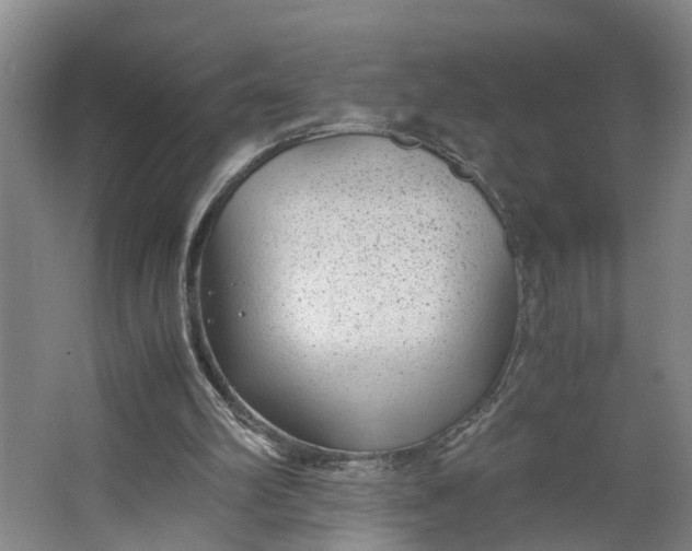X0000062880102200601271632