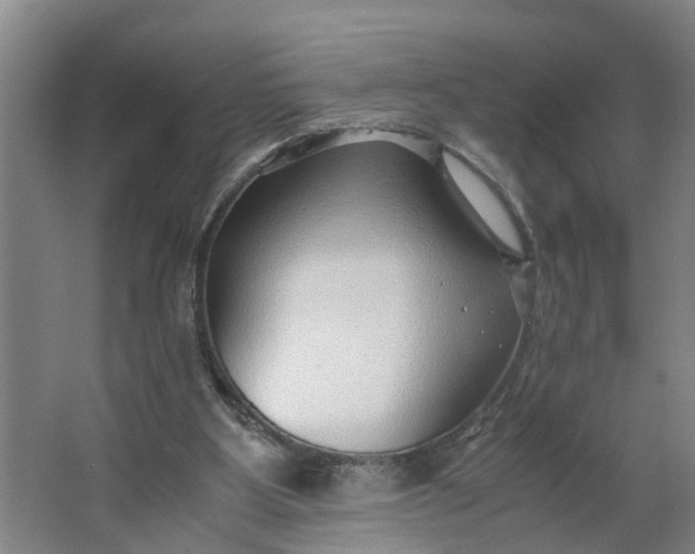 X0000062880107200601271632
