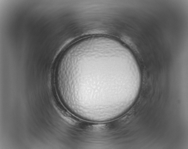 X0000062880108200601271632