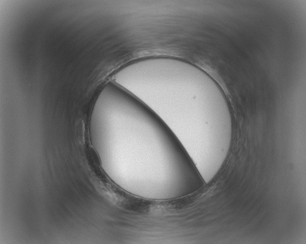 X0000062880109200601271632