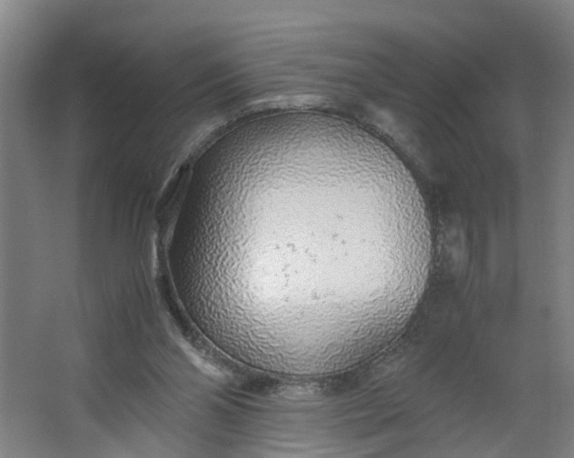 X0000062880110200601271632