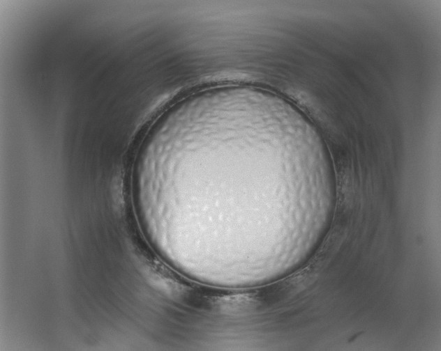 X0000062880112200601271632