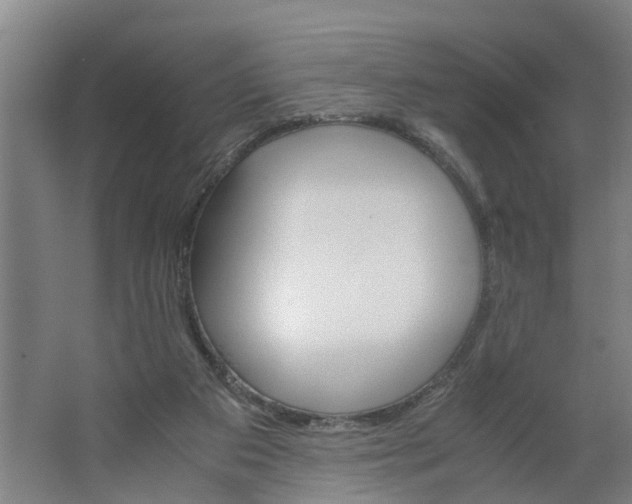 X0000062880113200601271632