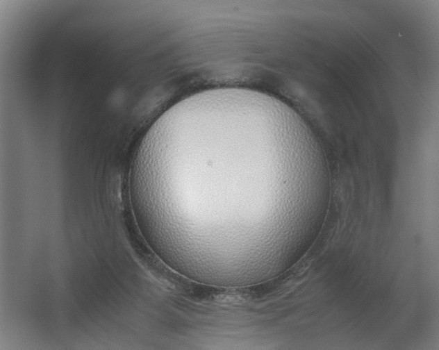 X0000062880115200601271632