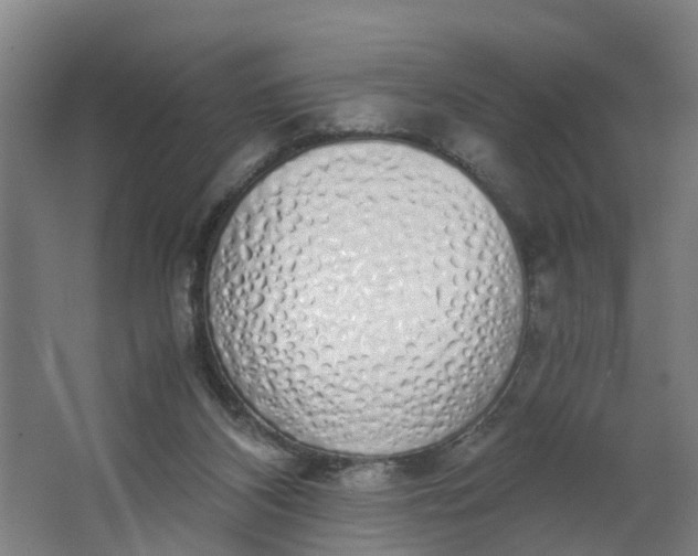 X0000062880116200601271632