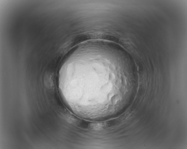 X0000062880131200601271631