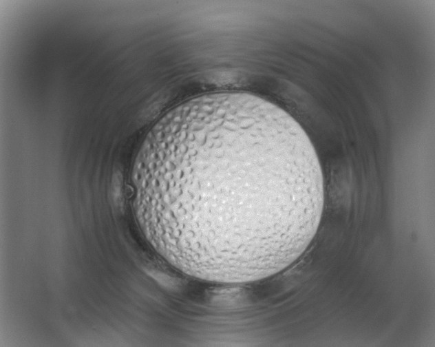 X0000062880132200601271631