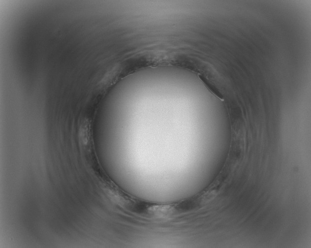 X0000062880133200601271631