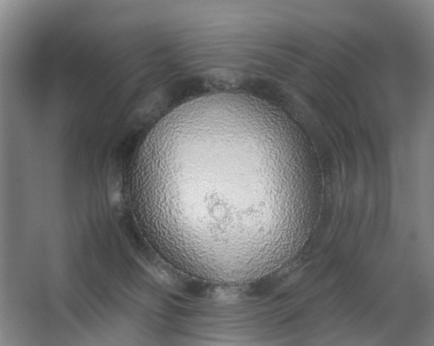 X0000062880134200601271631