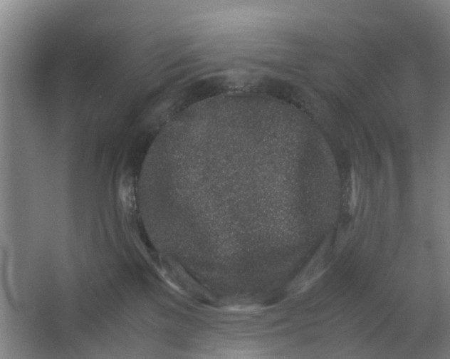 X0000062880137200601271631