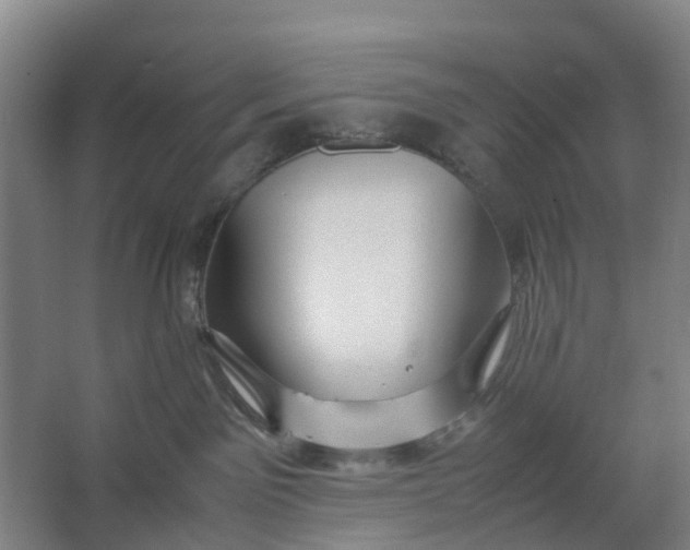 X0000062880141200601271631