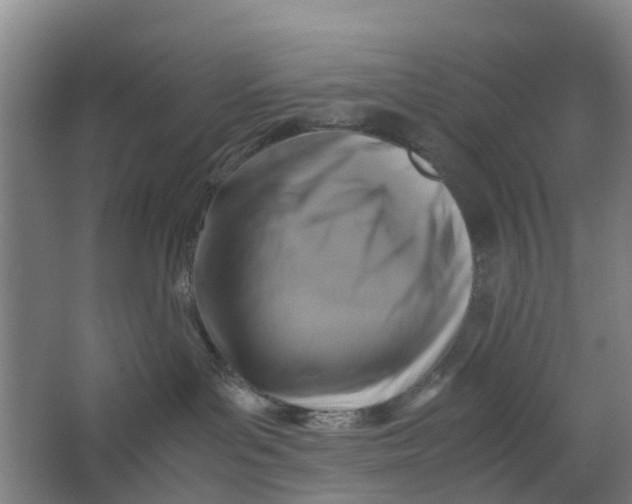 X0000062880143200601271631