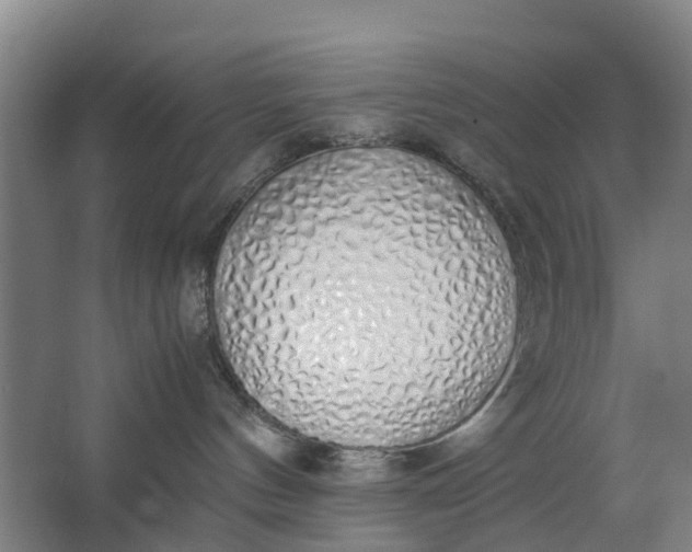 X0000062880144200601271631