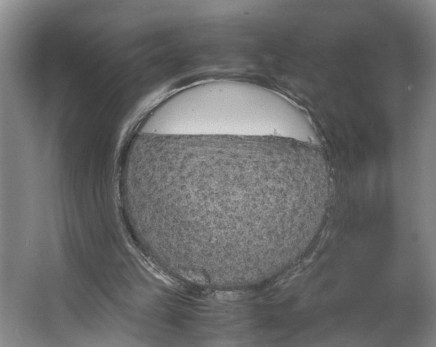 X0000062880149200601271631