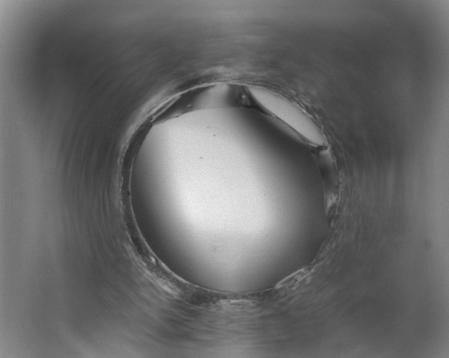 X0000062880150200601271631