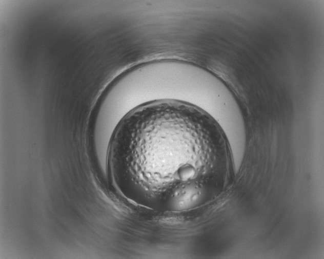 X0000062880156200601271631