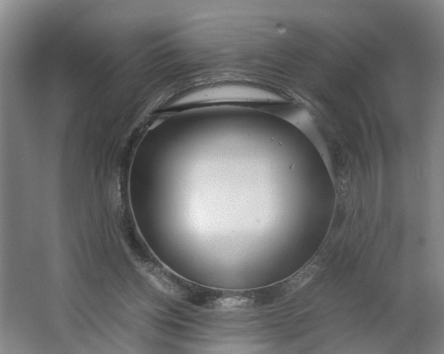 X0000062880158200601271631