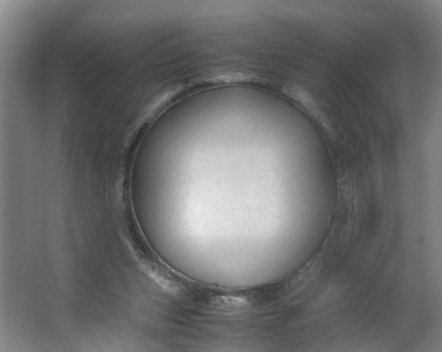 X0000062880159200601271631