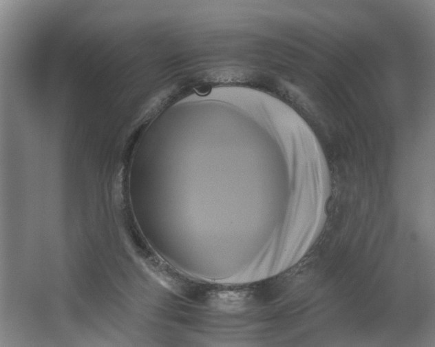 X0000062880163200601271631