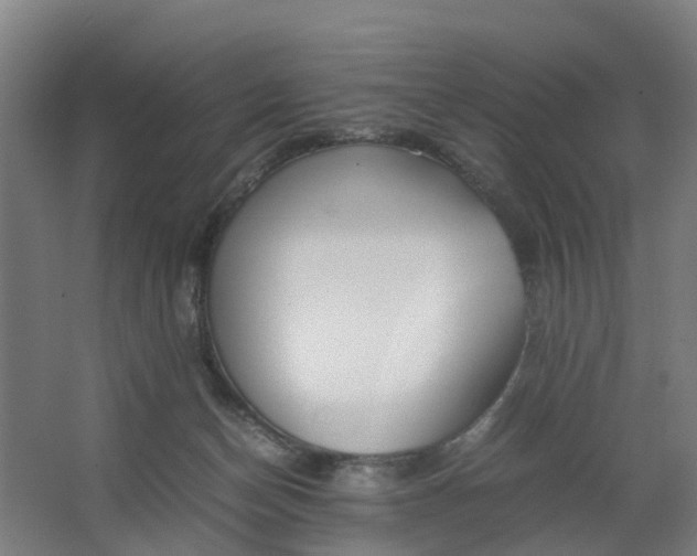 X0000062880174200601271631
