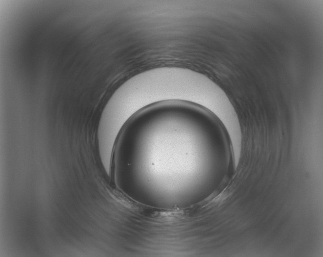 X0000062880188200601271631