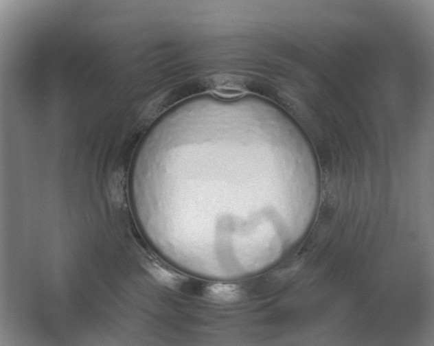 X0000062880189200601271631