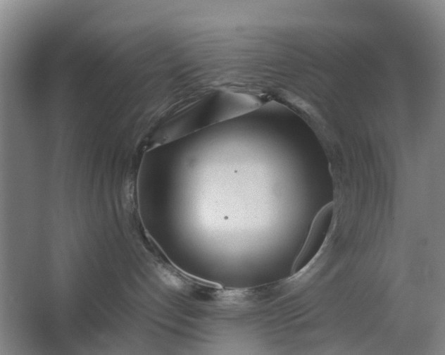 X0000062880192200601271631